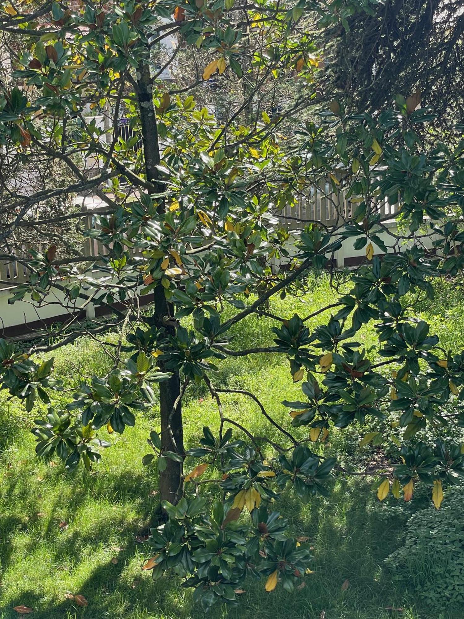 לה קורנב Green Nest - Metro Line 7 מראה חיצוני תמונה
